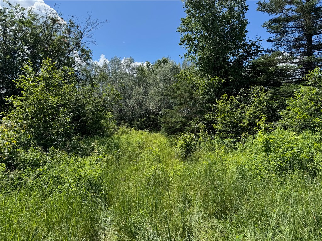8143 N Wright Road Property Photo 23