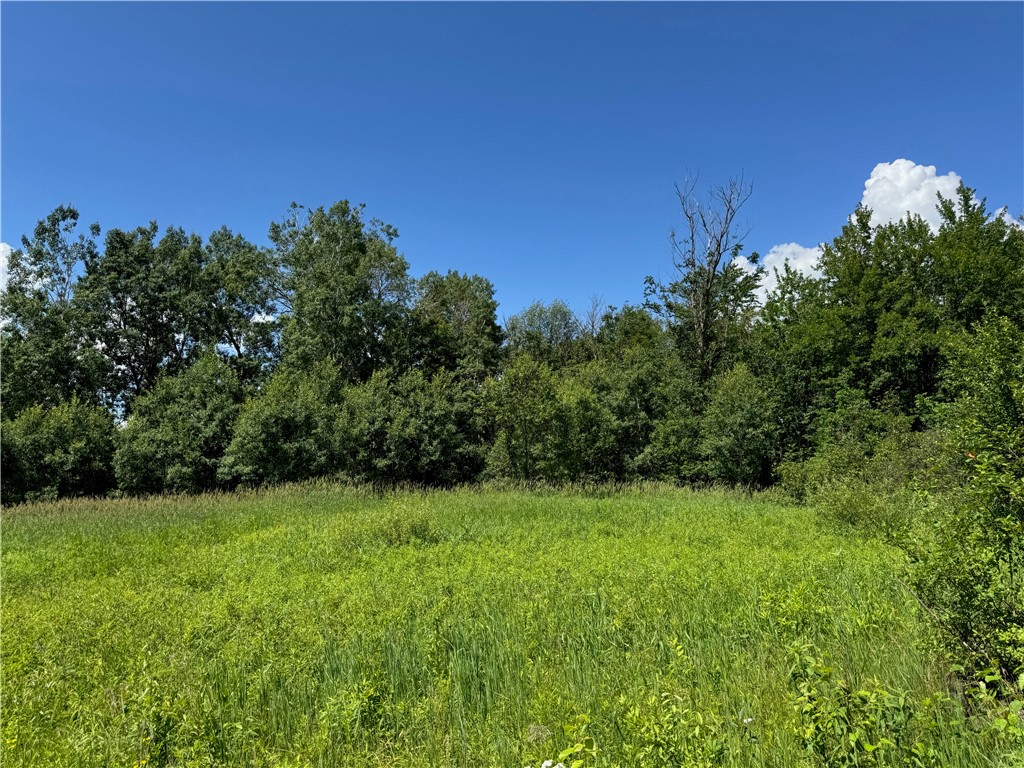 8143 N Wright Road Property Photo 25