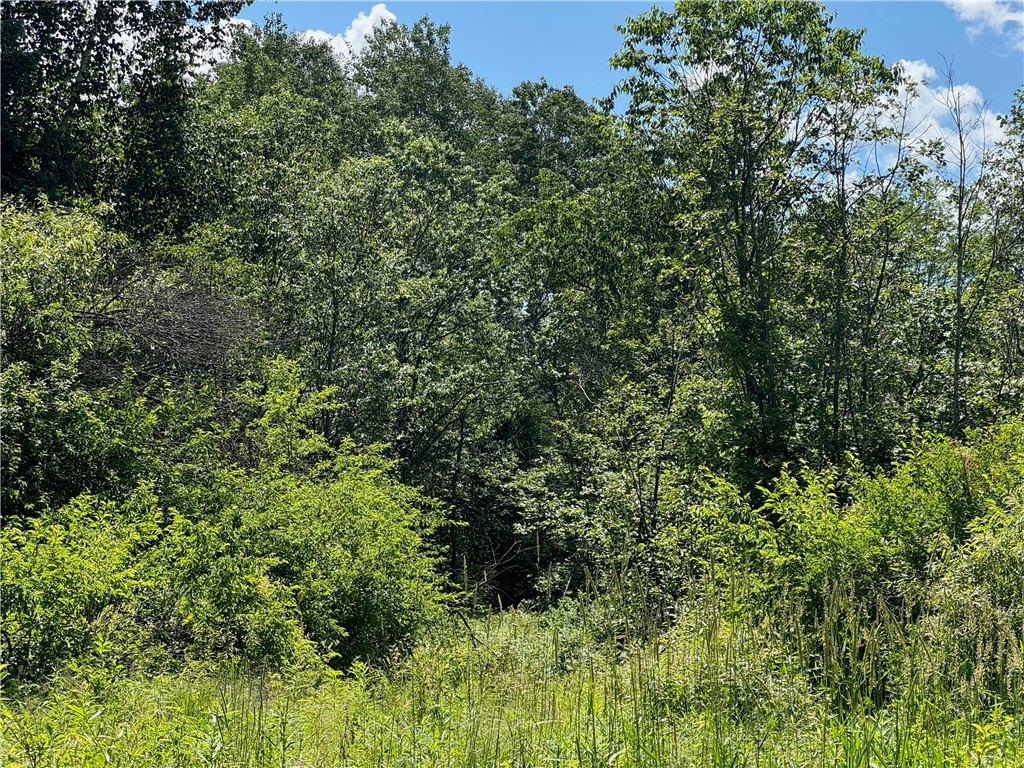 8143 N Wright Road Property Photo 28