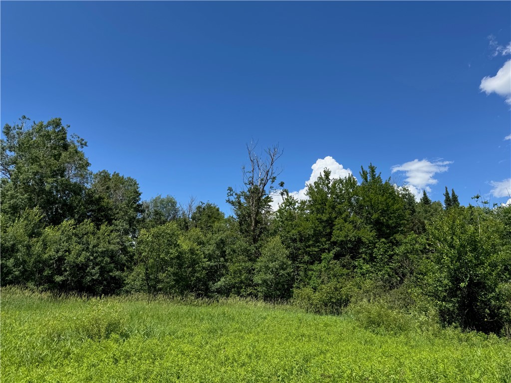8143 N Wright Road Property Photo 30