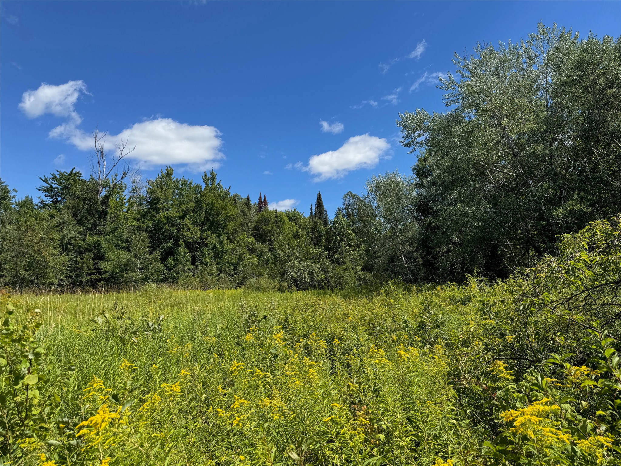 8143 N Wright Road Property Photo 32