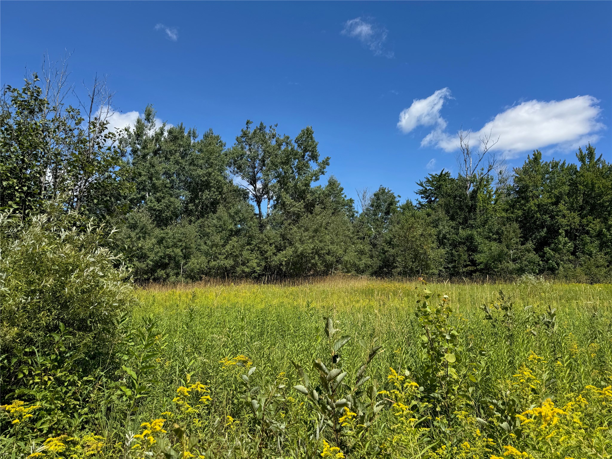 8143 N Wright Road Property Photo 34