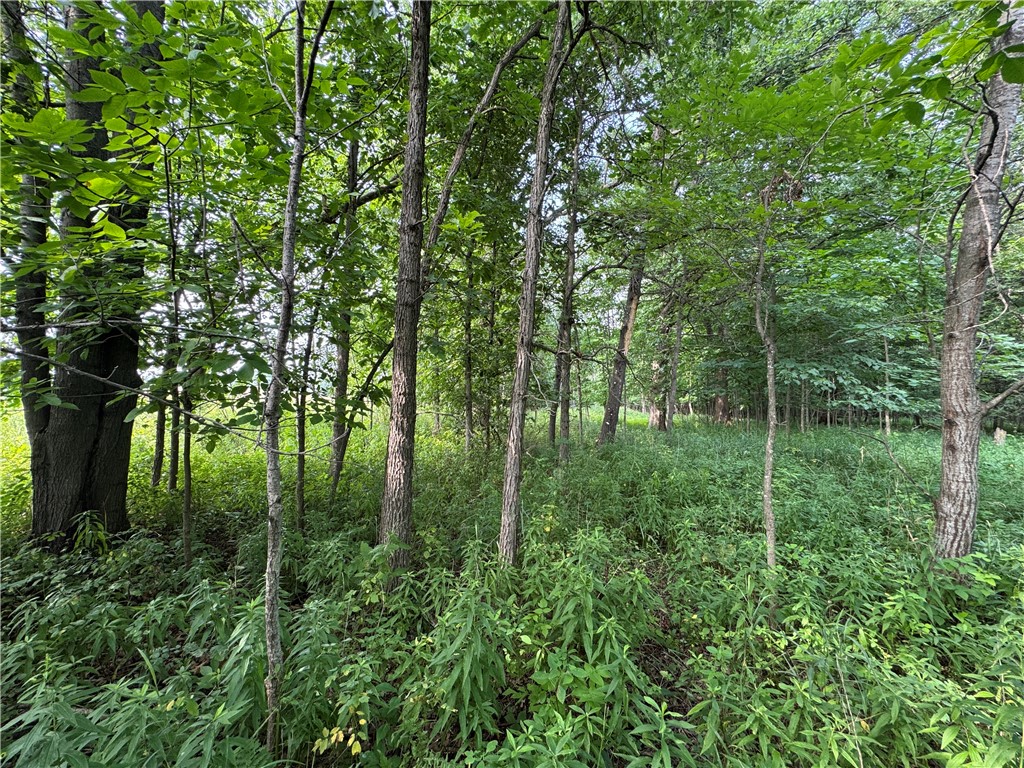 2541 County Rd D Property Photo 1