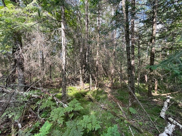 0 Airport Road Property Photo 13