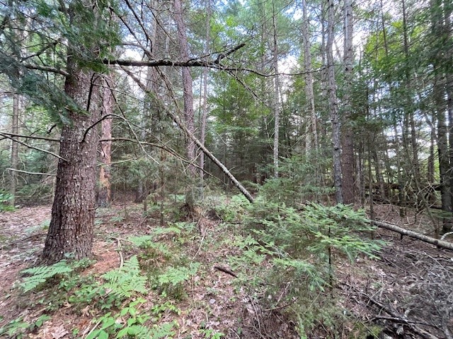 0 Airport Road Property Photo 19