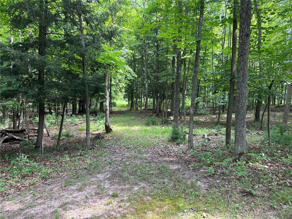 2213 Maple Lane Property Photo 54