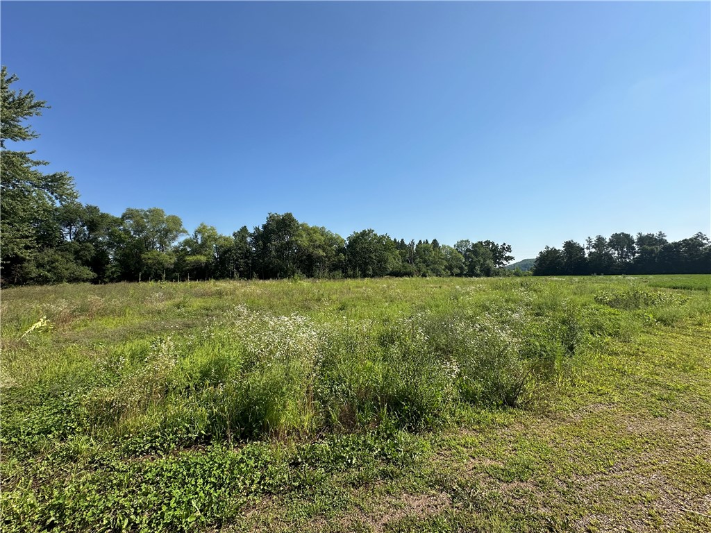 12.28 Acres 118th St/19th Ave Property Photo 5