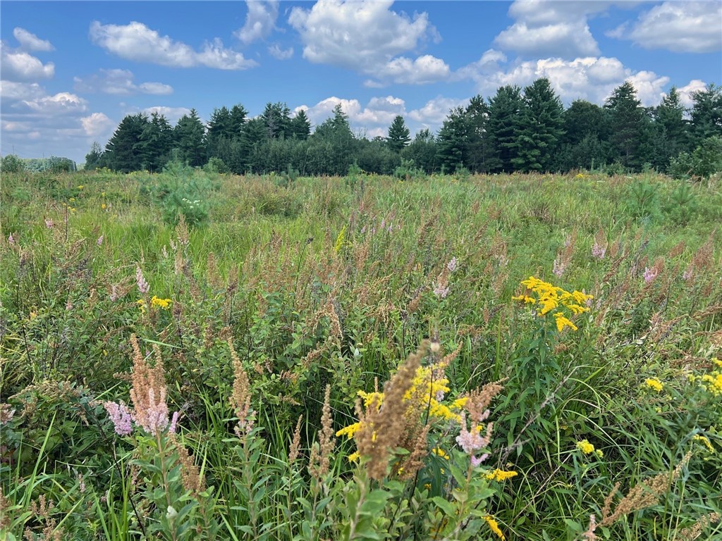 Tbd State Highway 12/27 Property Photo 2