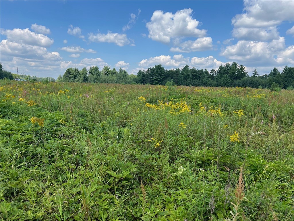 Tbd State Highway 12/27 Property Photo 10