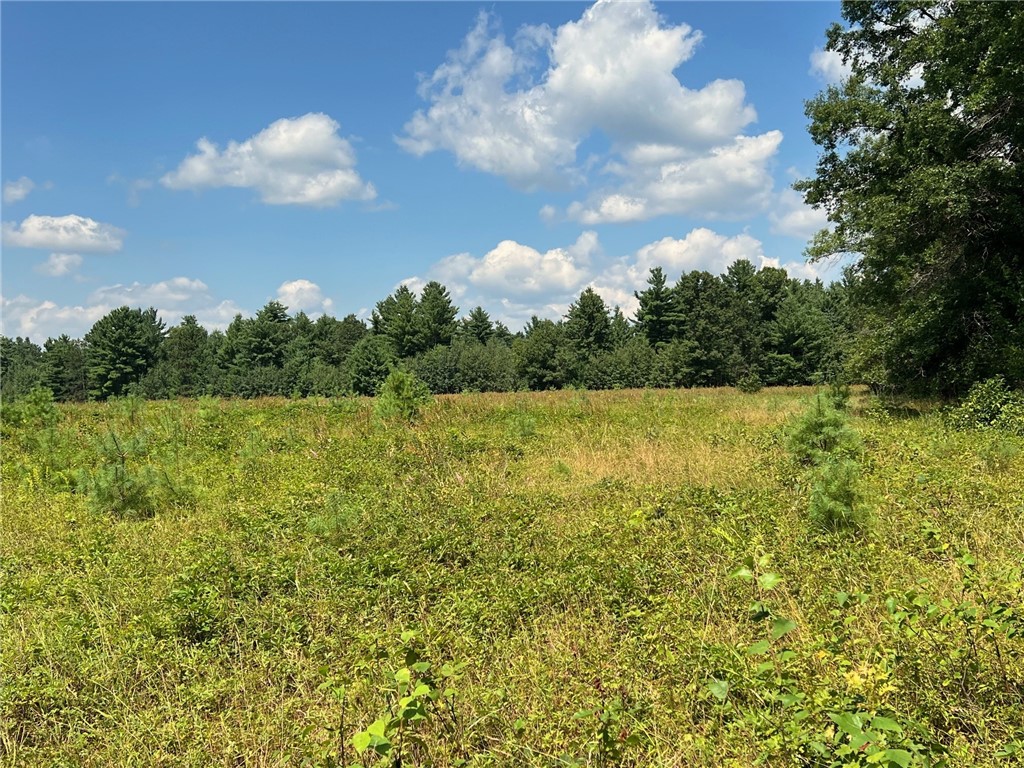 Tbd State Highway 12/27 Property Photo 12