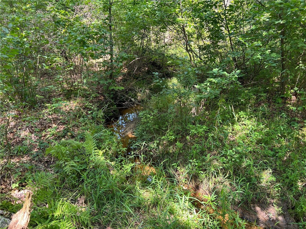 Tbd State Highway 12/27 Property Photo 18