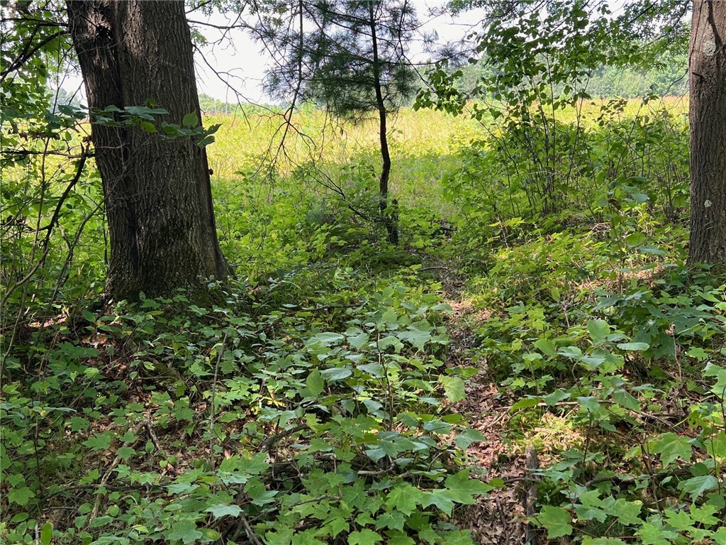 Tbd State Highway 12/27 Property Photo 19