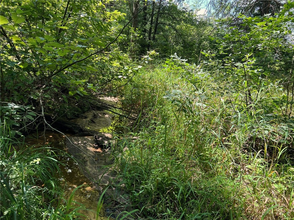 Tbd State Highway 12/27 Property Photo 20