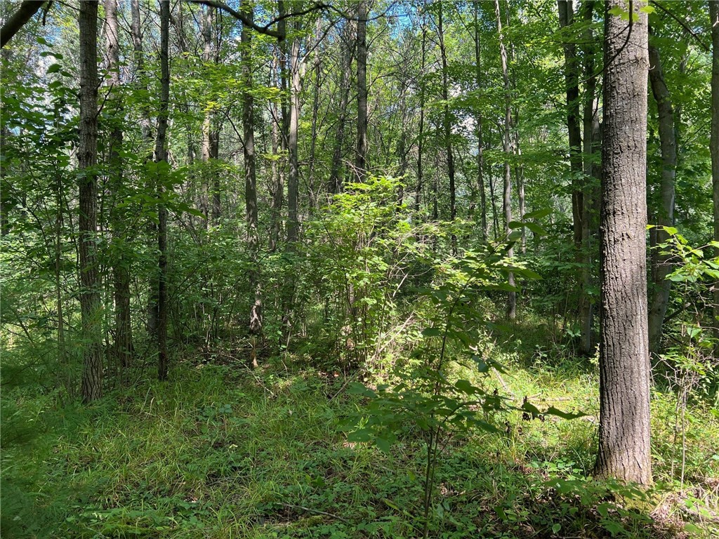 Tbd State Highway 12/27 Property Photo 23