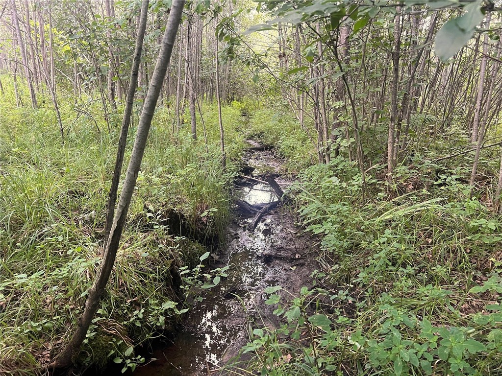 Tbd State Highway 12/27 Property Photo 24