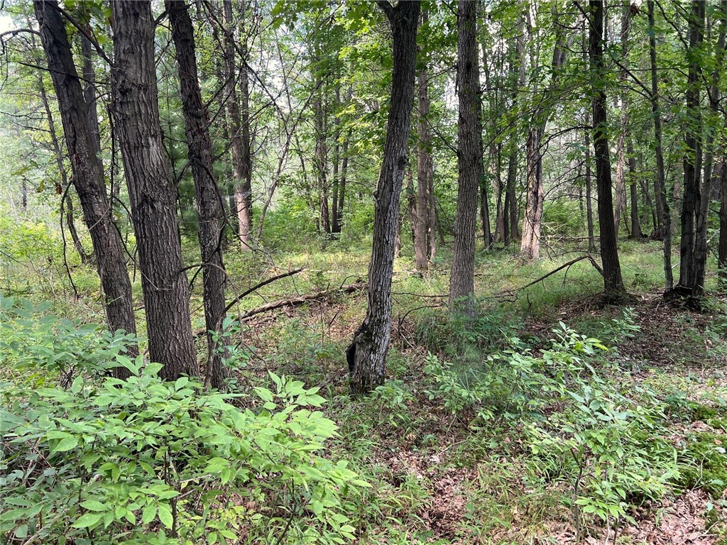 Tbd State Highway 12/27 Property Photo 25