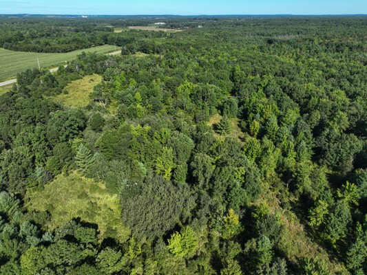 Tbd State Highway 12/27 Property Photo 26