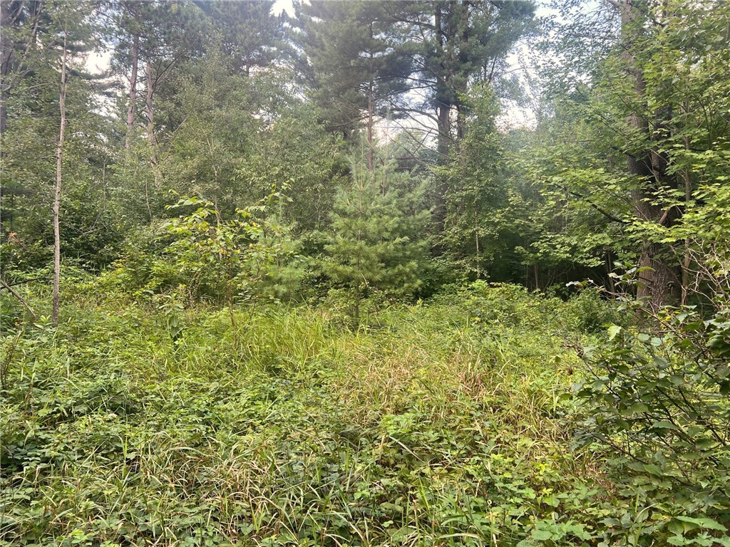 Tbd State Highway 12/27 Property Photo 27