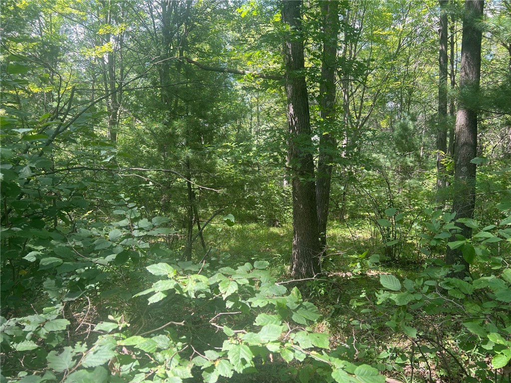 Tbd State Highway 12/27 Property Photo 28