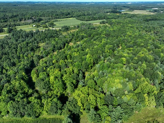 Tbd State Highway 12/27 Property Photo 31