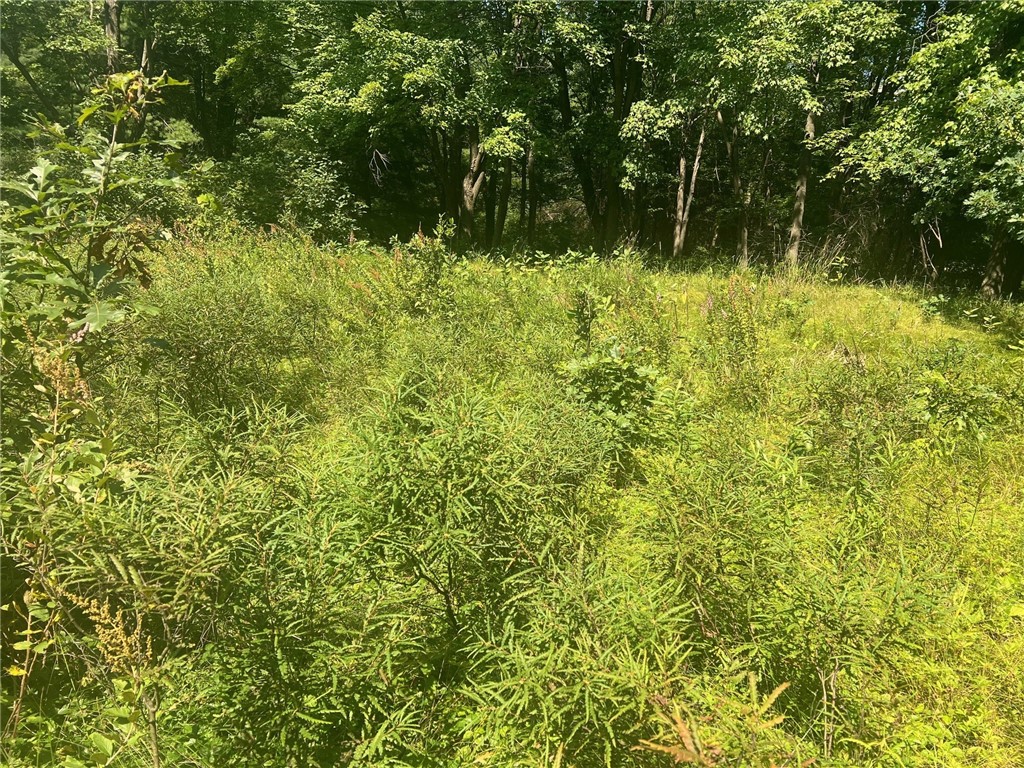 Tbd State Highway 12/27 Property Photo 33