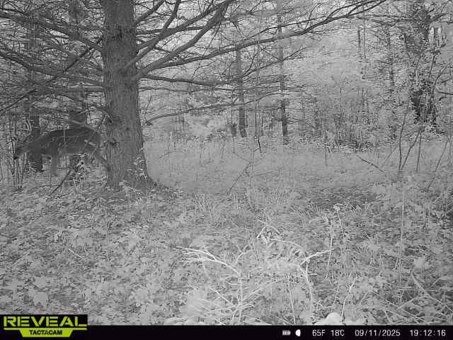 Tbd State Highway 12/27 Property Photo 34