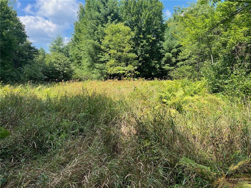 Tbd State Highway 12/27 Property Photo 35