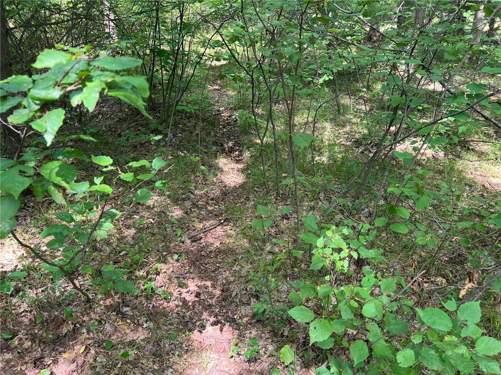 Tbd State Highway 12/27 Property Photo 36