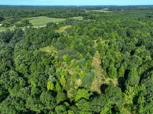 Tbd State Highway 12/27 Property Photo 39