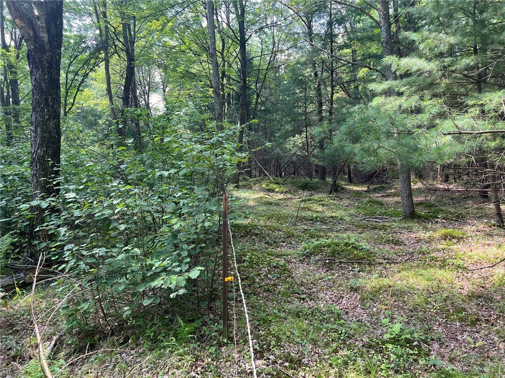 Tbd State Highway 12/27 Property Photo 40