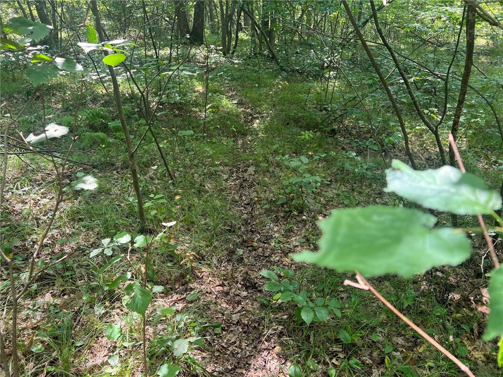 Tbd State Highway 12/27 Property Photo 42