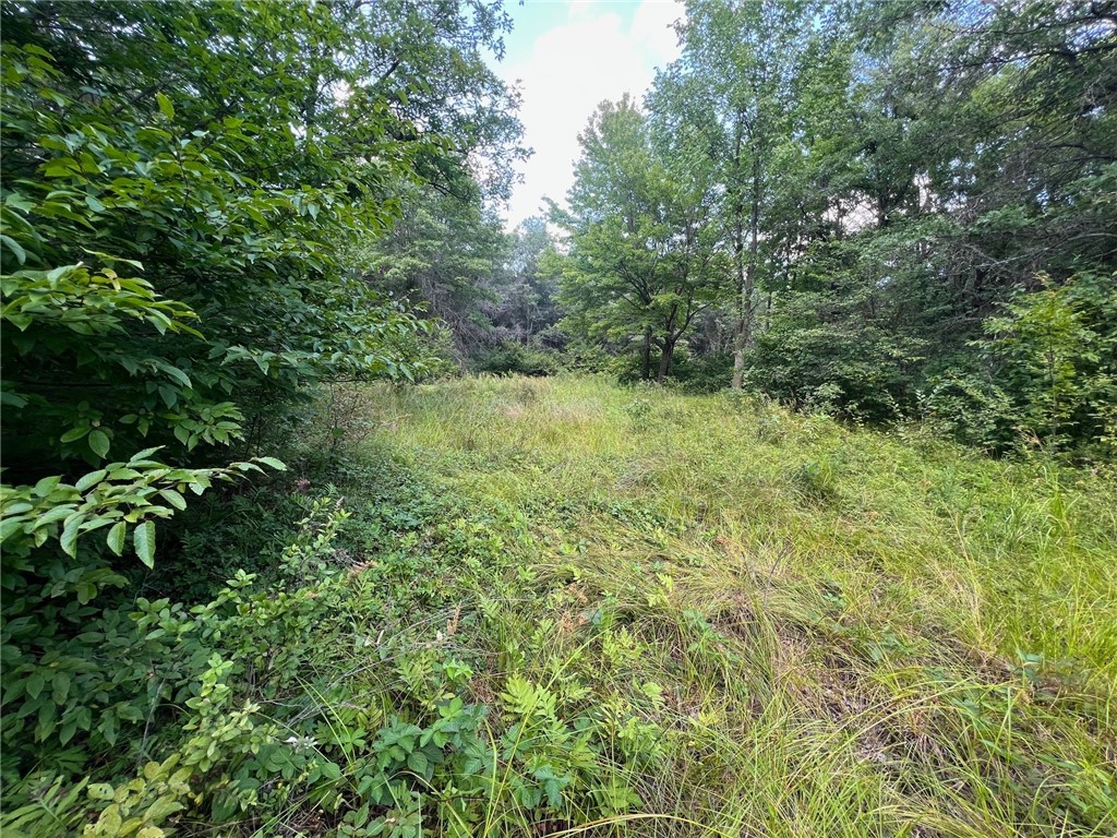 Tbd State Highway 12/27 Property Photo 49