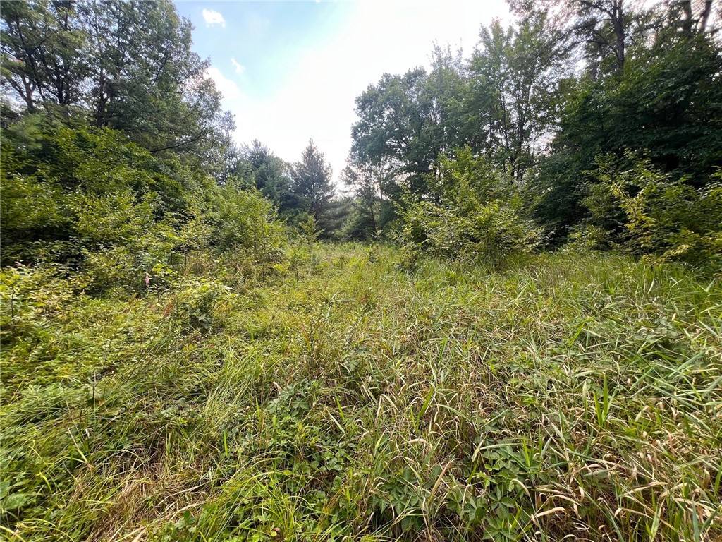 Tbd State Highway 12/27 Property Photo 51
