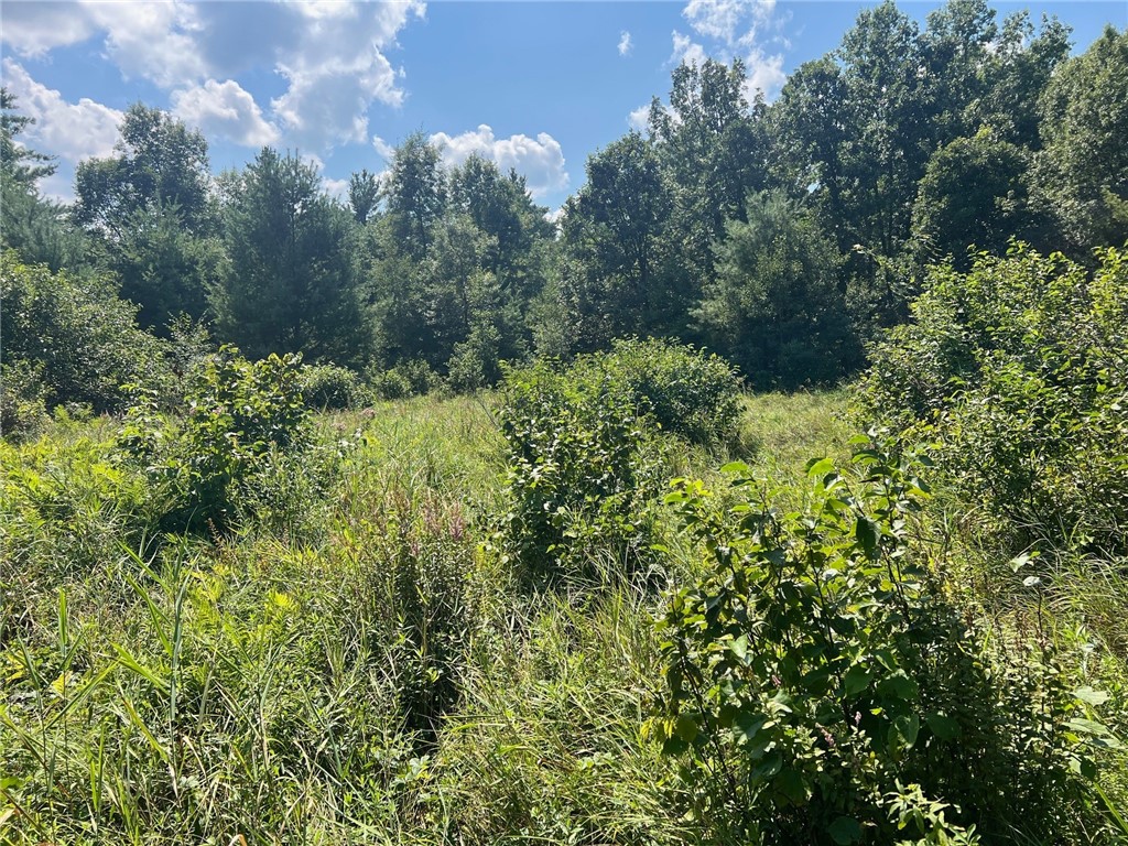 Tbd State Highway 12/27 Property Photo 53