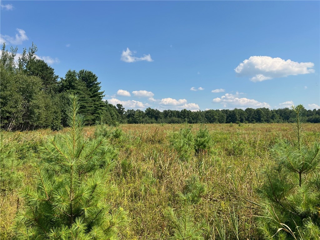 Tbd State Highway 12/27 Property Photo 56