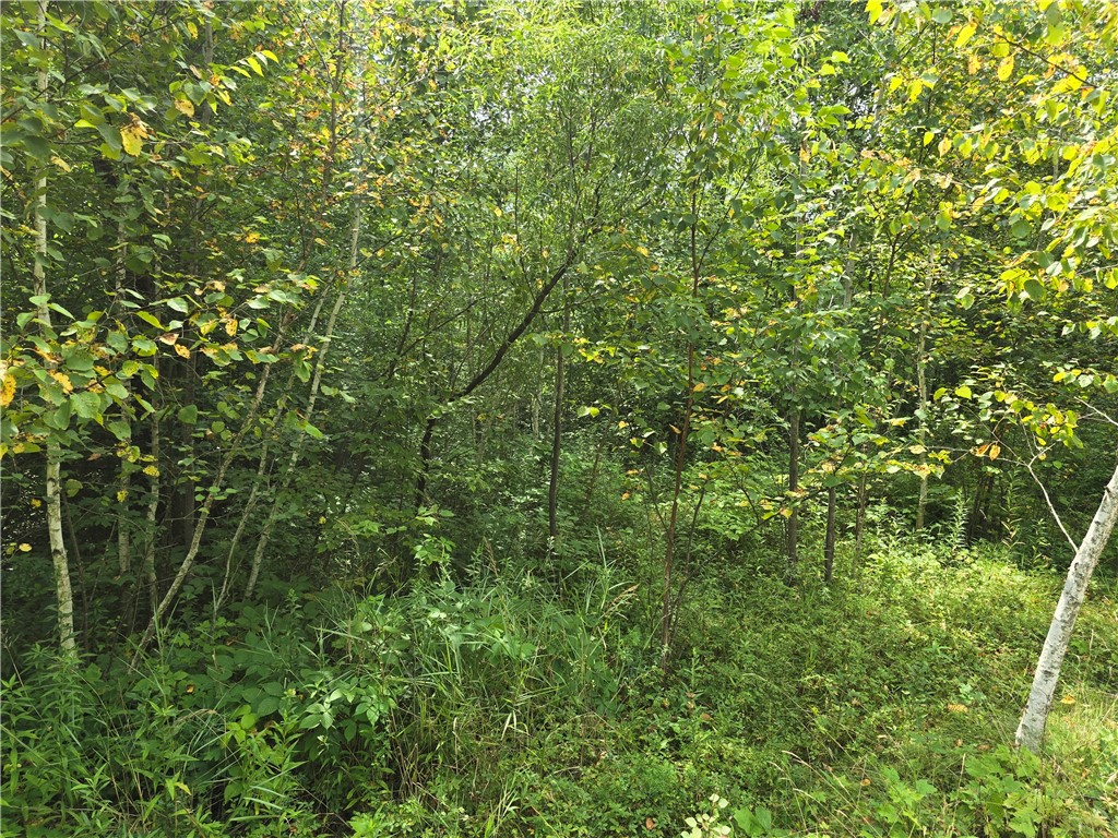00 10 1/4 Avenue Property Photo 3