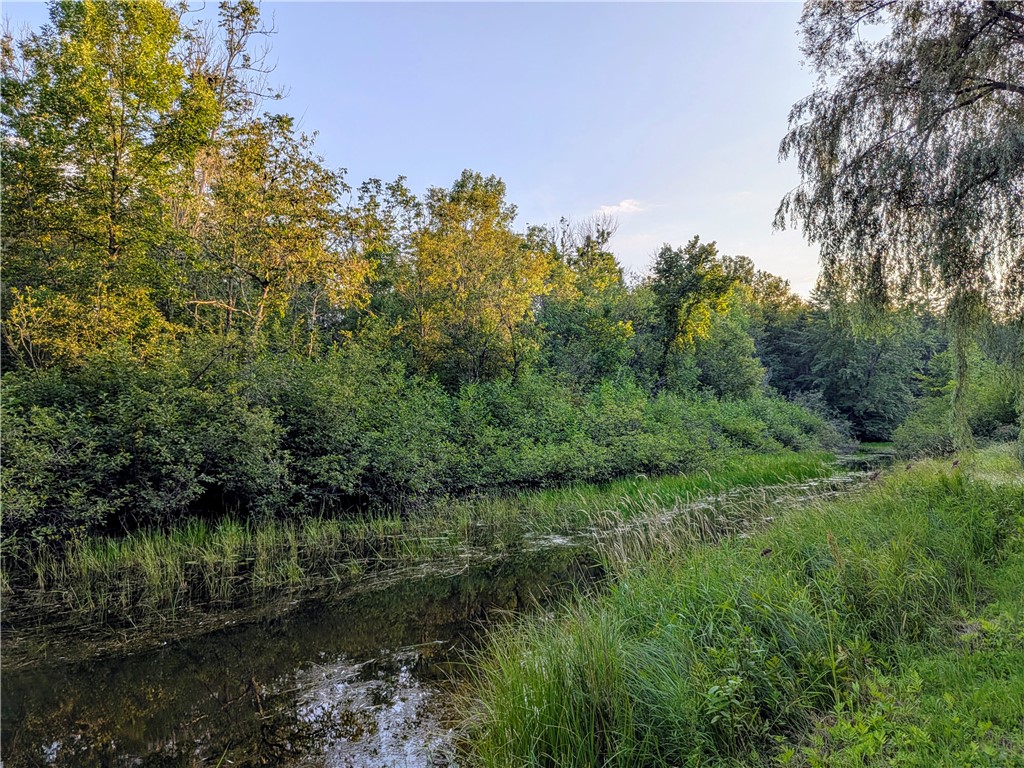 61095 State Highway 77 Property Photo 6