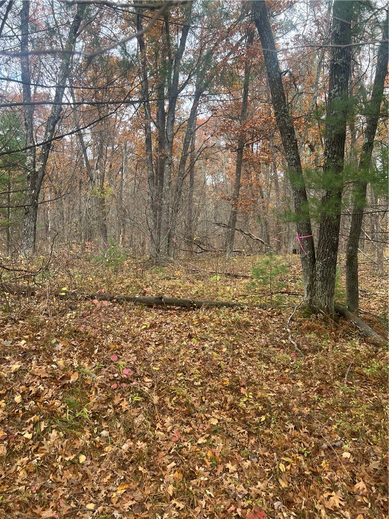 0 Hwy 70 Property Photo 13