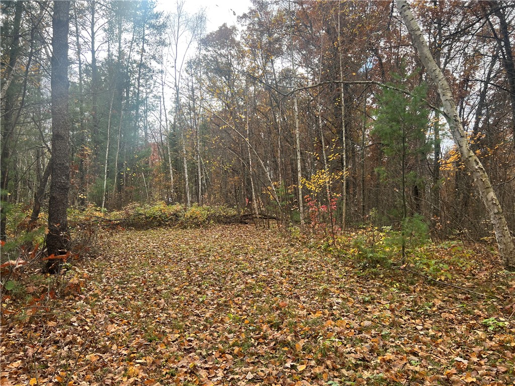 0 Hwy 70 Property Photo 15