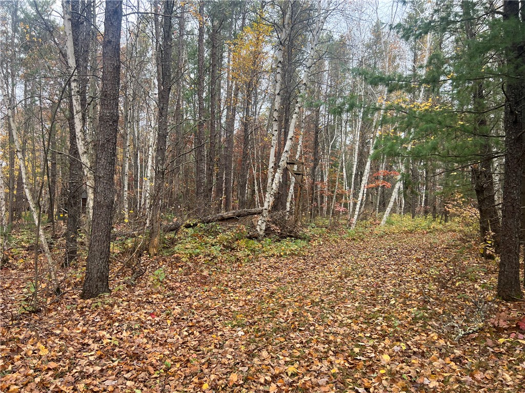 0 Hwy 70 Property Photo 16