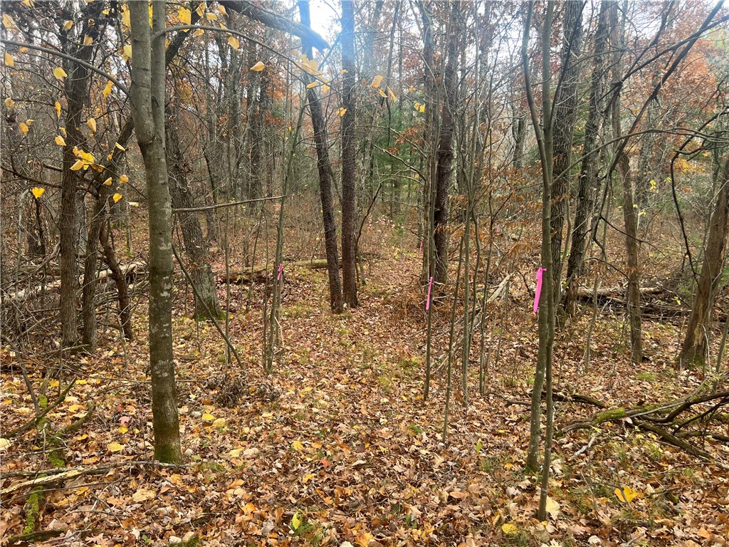 0 Hwy 70 Property Photo 17