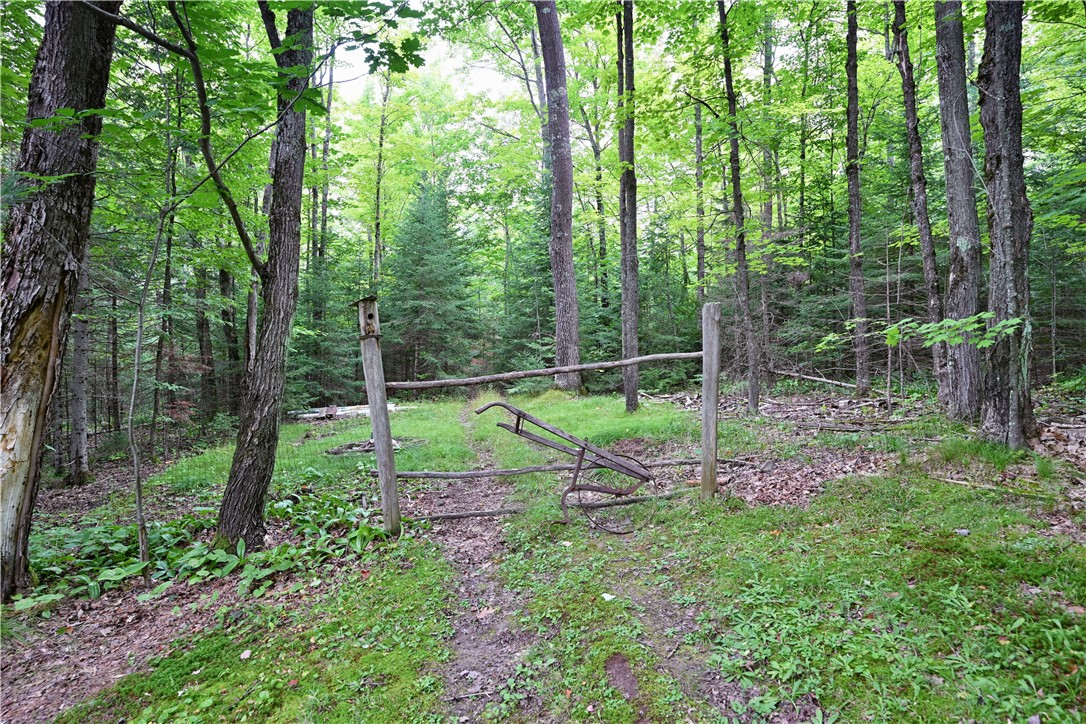 8913 E Balsam Drive Property Photo 27