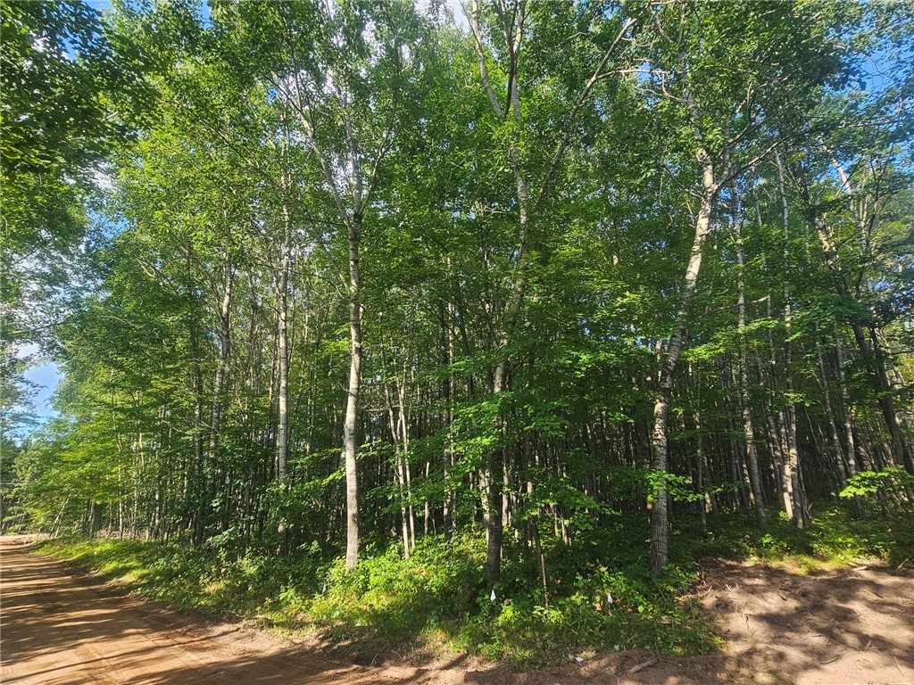 Lot 1 Ken Can Lane Property Photo 6