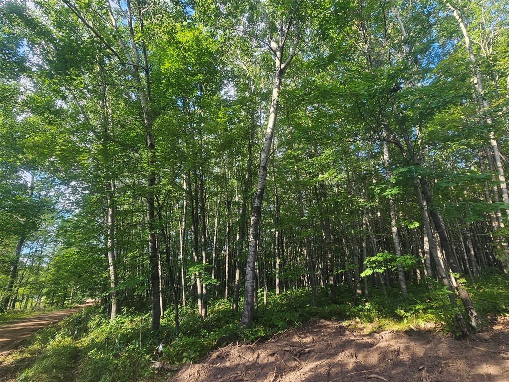 Lot 1 Ken Can Lane Property Photo 7