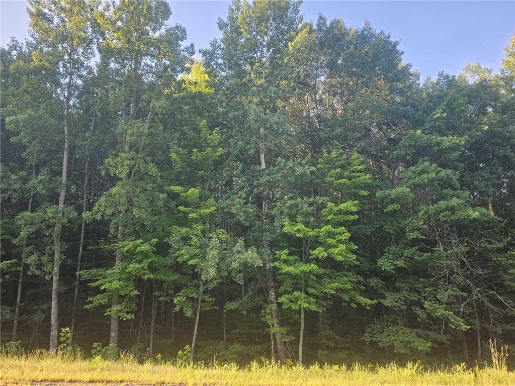 Lot 2 Ken Can Lane Property Photo 1