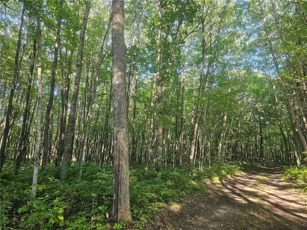 Lot 2 Ken Can Lane Property Photo 1