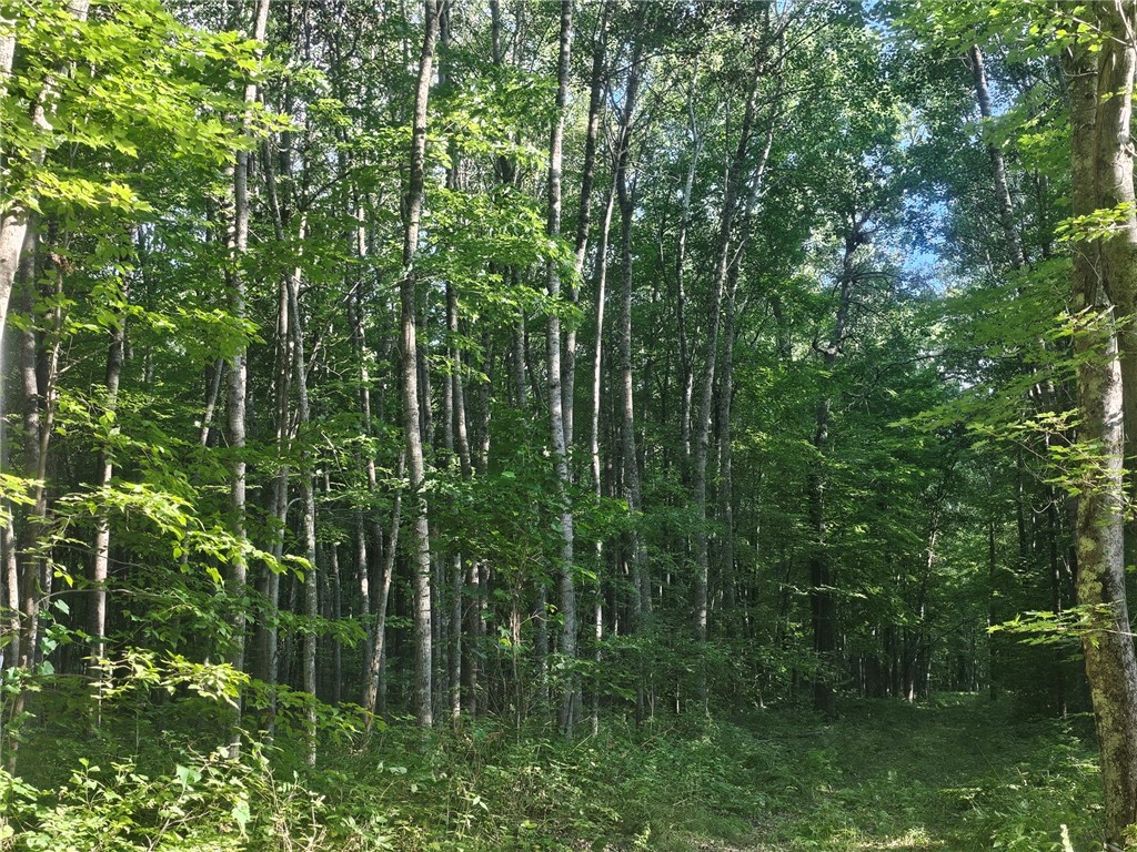 Lot 3 Ken Can Lane Property Photo 4