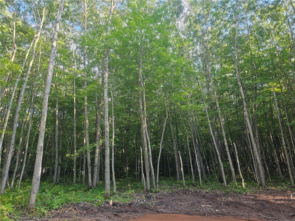 Lot 3 Ken Can Lane Property Photo 5