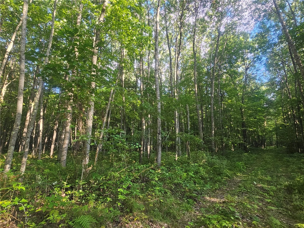 Lot 3 Ken Can Lane Property Photo 6