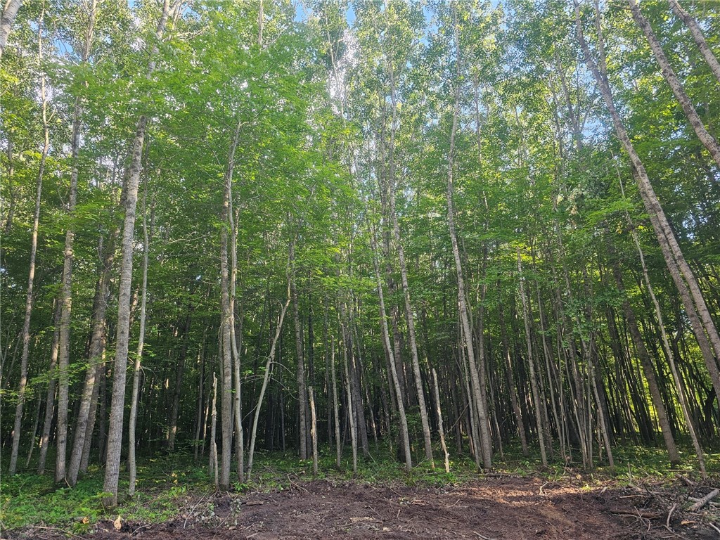 Lot 3 Ken Can Lane Property Photo 7